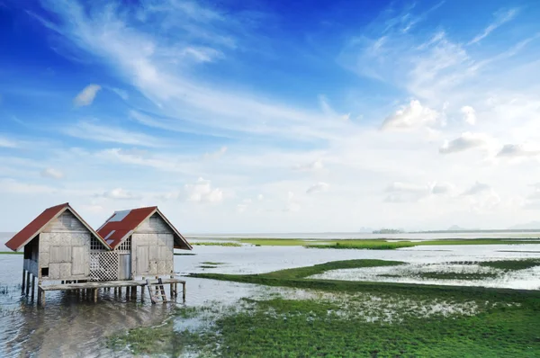 Cabaña en un pantano en Tailandia — Foto de Stock