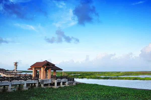Hut on a bog in thailand — Stock Photo, Image
