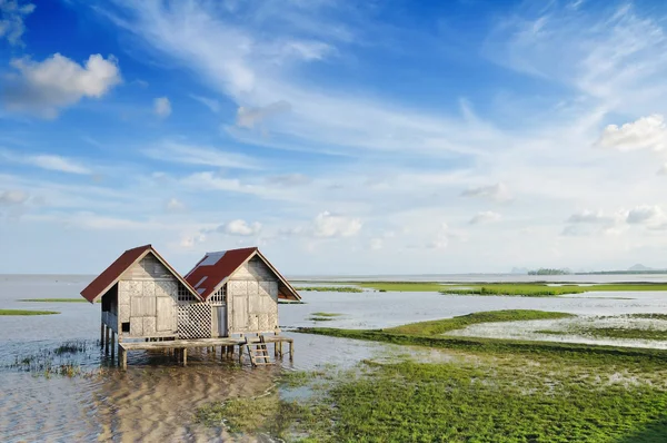 Cabaña en un pantano en Tailandia —  Fotos de Stock