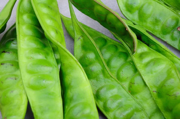 Tropical stinking edible beans on white background (Parkia Speci — Stock Photo, Image