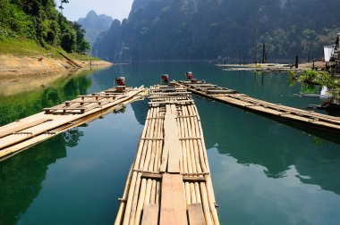 bamboo rafting ratchaprapa Barajı suratthani, Tayland