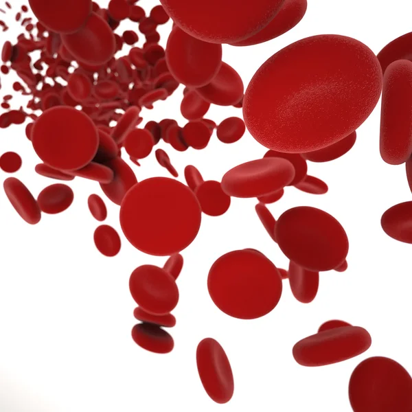 Поток клеток крови — стоковое фото