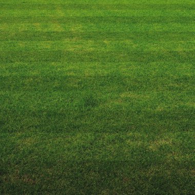 Green grass soccer field background clipart