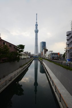 Tokyo Sky ağaç