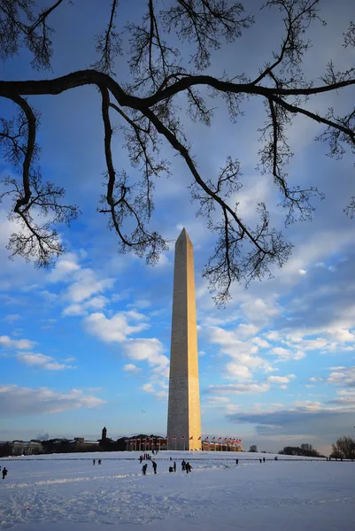 ワシントン州記念碑の冬 — ストック写真
