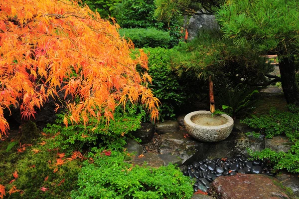 Decorazione del giardino giapponese — Foto Stock