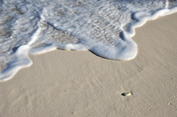 모래에 파 — 스톡 사진