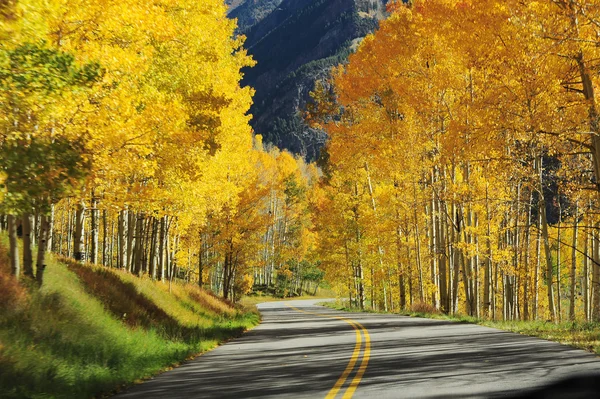 Autumn road — Stock Photo, Image