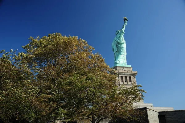 Статуя свободы с деревом — стоковое фото