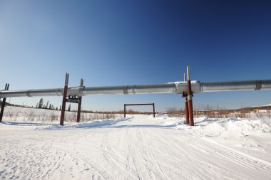 Alaska'da petrol boru hattı