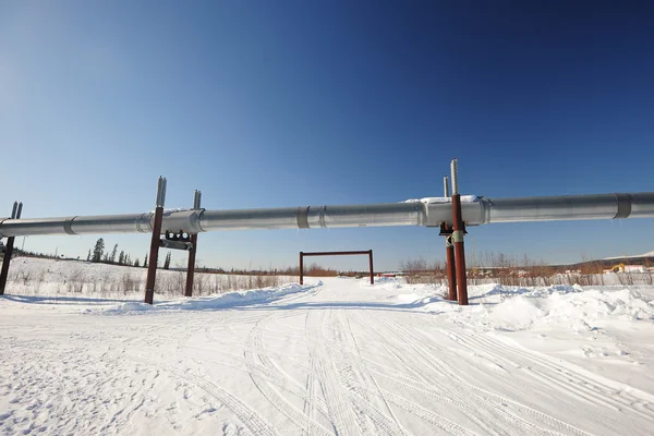Oil pipeline in alaska — Stock Photo, Image