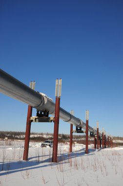 Alaska'da petrol boru hattı