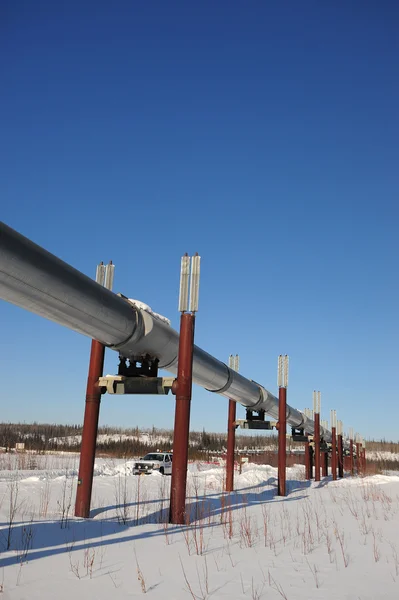 Oil pipeline in alaska — Stock Photo, Image