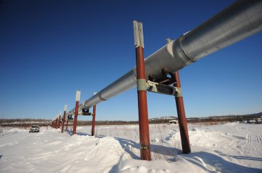Alaska'da petrol boru hattı