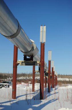 Alaska boru hattı