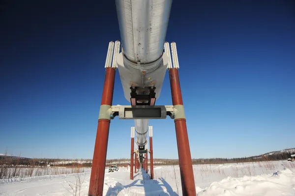 Oil pipeline in alaska — Stock Photo, Image