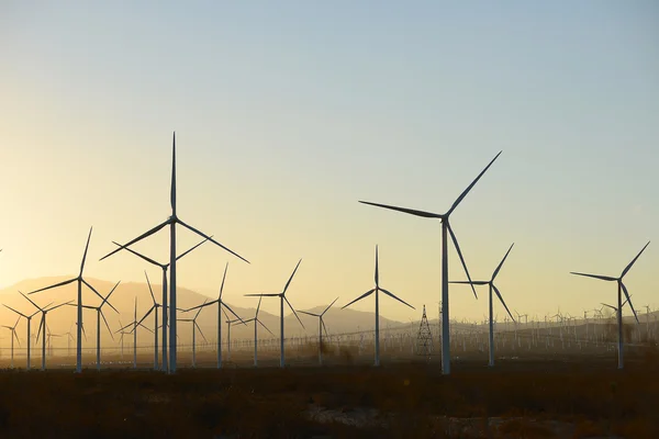 Windmolenpark — Stockfoto