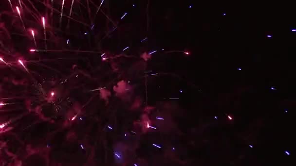 Kleurrijk feestelijk vuurwerk in de donkere lucht. — Stockvideo