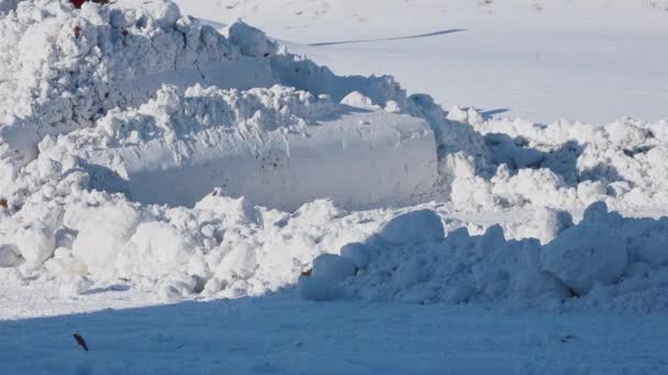 Vidéo au ralenti. Un tracteur bleu avec une pelle nettoie les rues de neige par une journée d'hiver ensoleillée. — Video