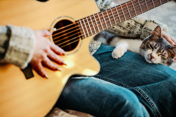 Kız kanepede oturur ve kedi için gitar çalar. Dostluk ve evcil hayvan sevgisi. — Stok fotoğraf