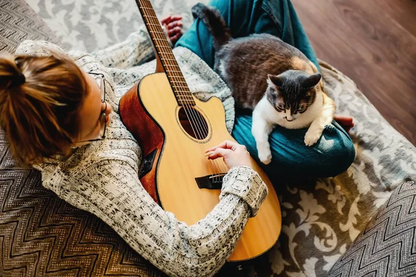 Kız müzisyen kanepeye oturur ve gitar çalar. Kedi metres kucağına oturur. Evcil hayvan için müzik aleti çalıyorum. Üst görünüm — Stok fotoğraf