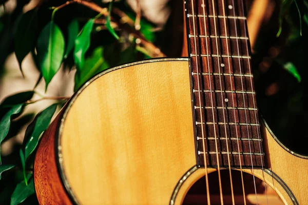 Akustik gitarın bir kısmı incirin yeşil yaprakları arasında yakındır. Müzik aleti. — Stok fotoğraf