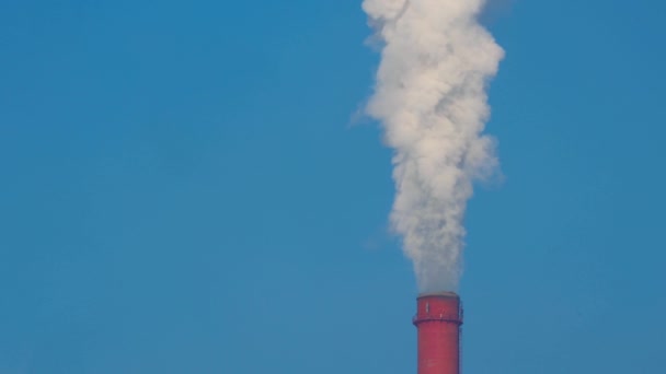 4k video. Van de tabakspijp van industrieele onderneming bestaan de bewolking van de rook tegen de achtergrond van blauwe lucht. — Stockvideo