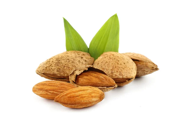 Almonds with green leaves — Stock Photo, Image