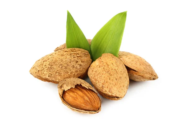 Almonds with green leaves — Stock Photo, Image