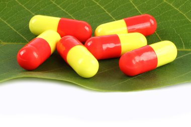 pastillas de medicina sobre una hoja verde