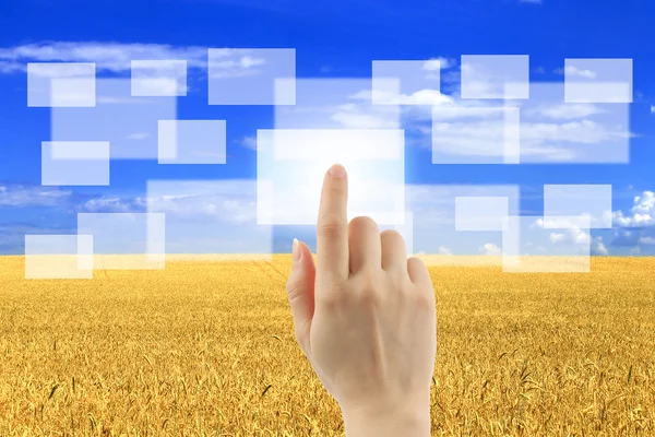 Woman hand pushing virtual icons on interface over wheat field — Stock Photo, Image