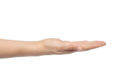 Open vrouw handAçık kadın eli