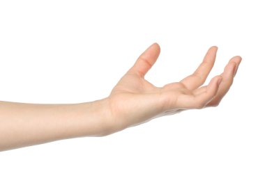 Open vrouw handAçık kadın eli