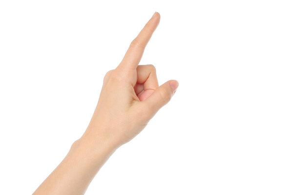 Женская рука
