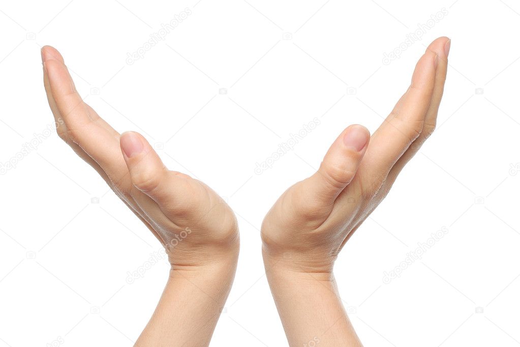 Two open woman hands