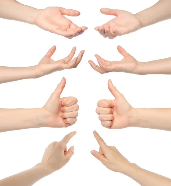 Collage of woman hands — Stock Photo, Image