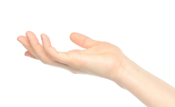 Открытая рука женщины — стоковое фото