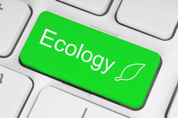 Ecology concept — Stock Photo, Image