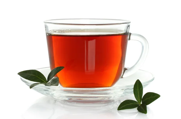 Kopp te med gröna blad — Stockfoto
