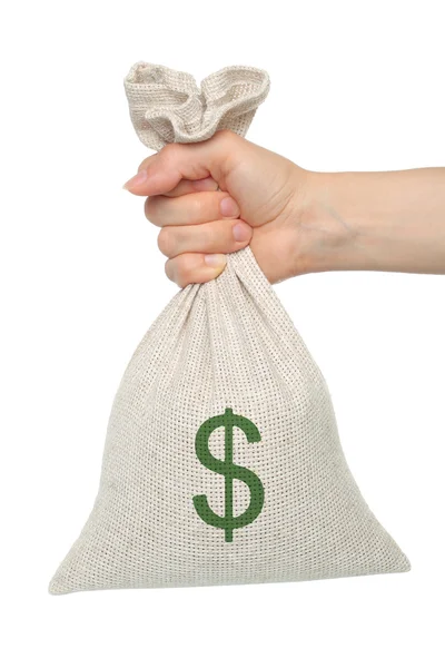 Hand innehar väska med pengar Stockbild