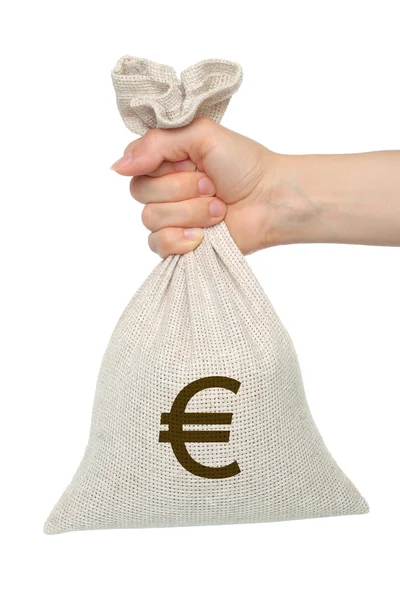 Hand holds bag with money — Stock Photo, Image