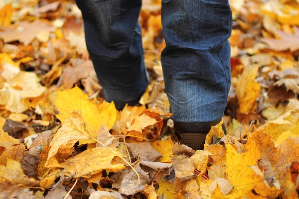 Woman walking on leaves — Stock Photo, Image