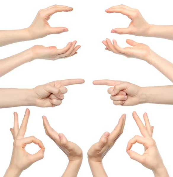 Collage of woman hands — Stock Photo, Image