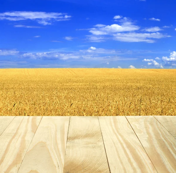 Ξύλινους πίνακες με κίτρινο σιτάρι πεδίο και συννεφιασμένο ουρανό — Φωτογραφία Αρχείου