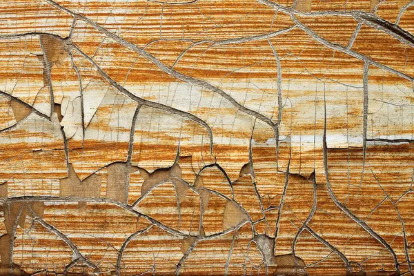 Texture Background Old Wooden Board Peeling Paint Close — Stock Photo, Image