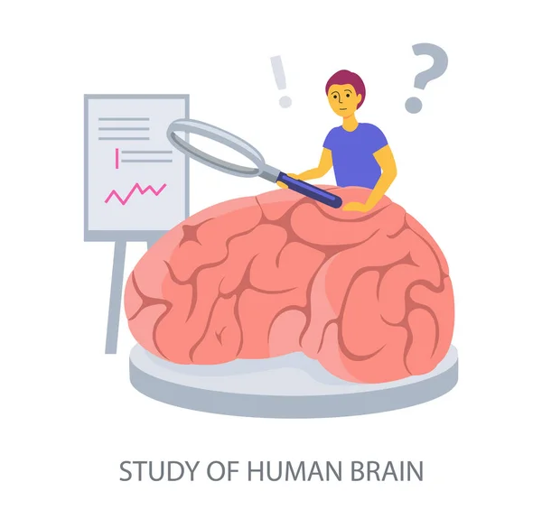 Studie Human Brain Koncept Vit Bakgrund Platt Design Vektor Illustration — Stock vektor
