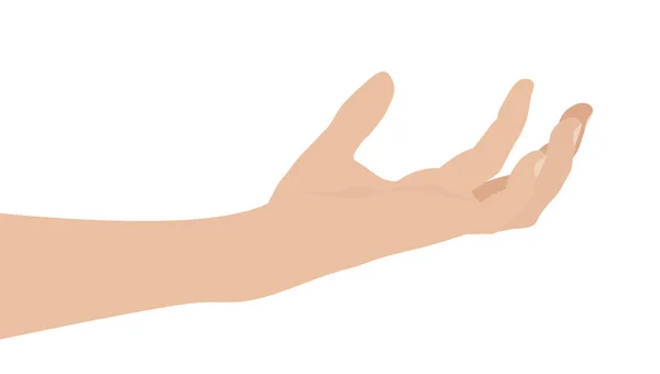 Donna Mano Sfondo Bianco Disegno Piatto Vettoriale Illustrazione — Vettoriale Stock