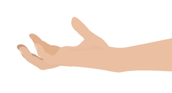 Рука женщины на белом фоне, векторная иллюстрация плоского дизайна
