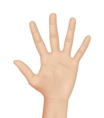 Kadın eli beyaz arkaplanda, gerçekçi vektör çizimi yakın plan