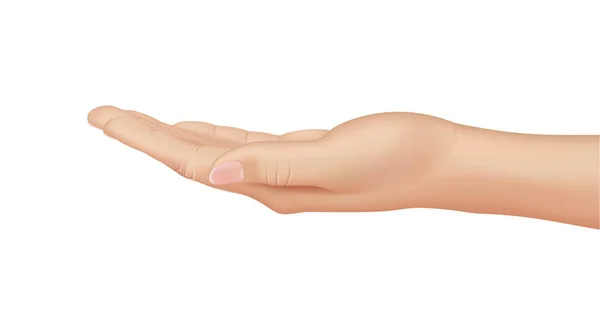 Vrouw Hand Witte Achtergrond Realistische Vector Illustratie Close — Stockvector